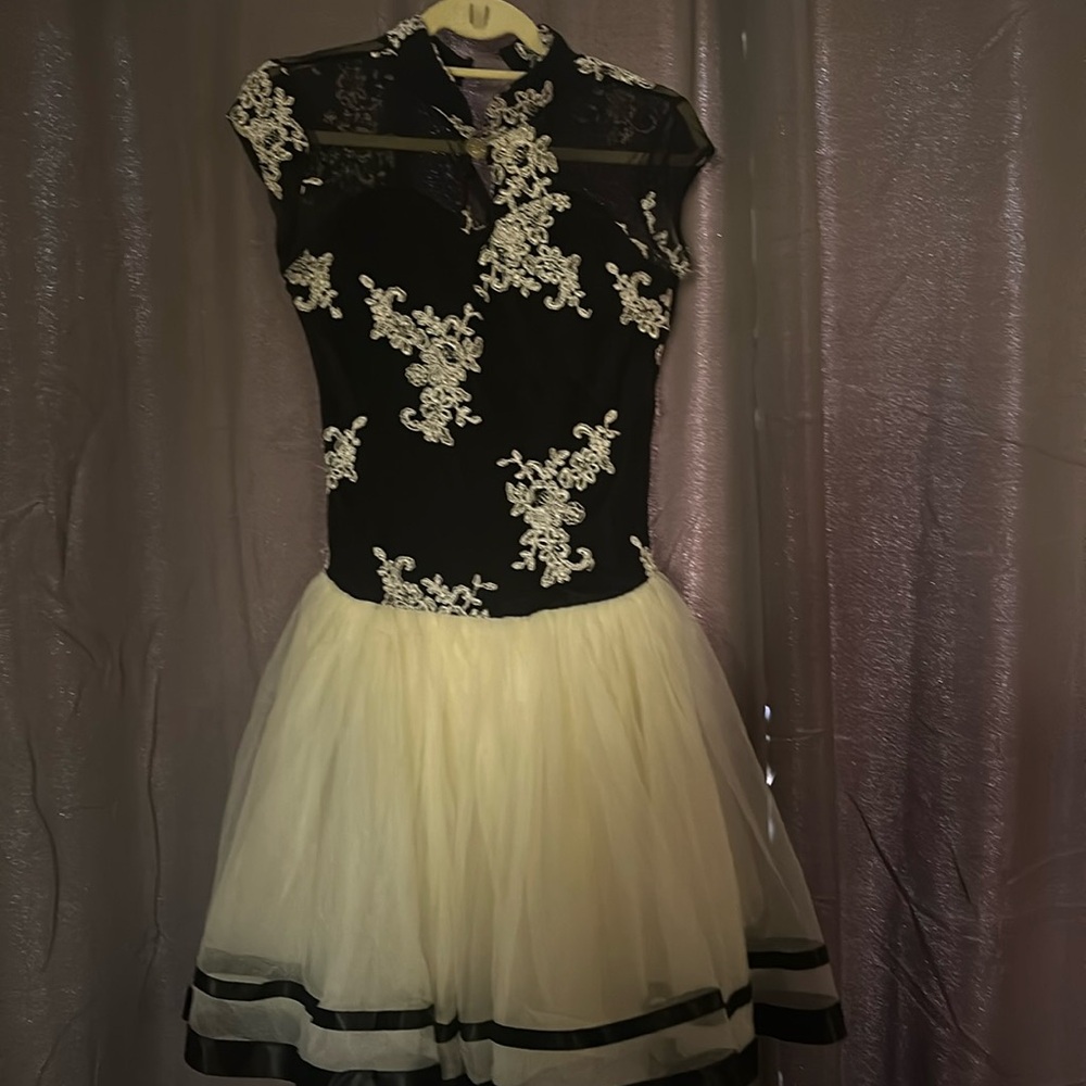 Adult large ballet costume